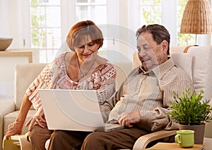 Elderly couple using computer computer