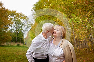 Elderly couple walking in the park on an autumn day