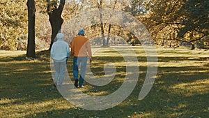 Elderly couple walking in the park in autumn while hodling hands