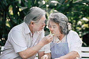 Elderly couples Cooking Healthy food