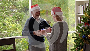 Elderly couples give gifts to each other and hug each other happily on Christmas Day.