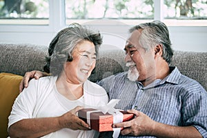 Elderly Couples Surprise and gift at living room