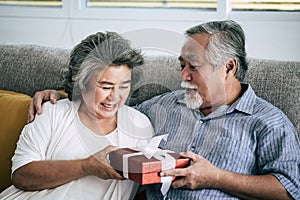 Elderly Couples Surprise and gift at living room