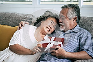 Elderly Couples Surprise and gift at living room