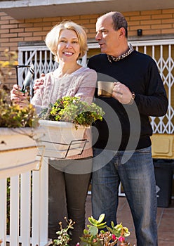 Elderly cuople talking at balcon photo