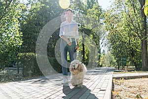 Elderly dog spaniel with owner young woman spend a day at the park