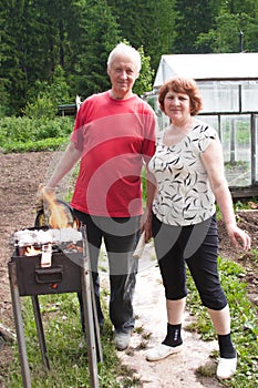 Elderly domestic pair cook on nature