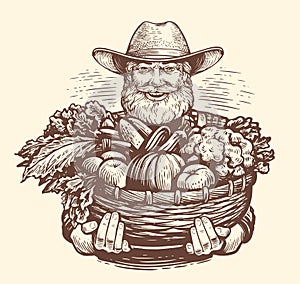 Elderly farmer with freshly picked vegetables in basket. Fresh organic farm food. Sketch vector illustration