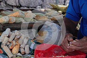 Elderly Farmer husking corn at the market