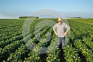 Proud senior farmer standing in soy field surveying land