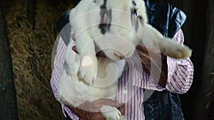 An elderly farmer in a straw hat is holding a large white rabbit. Portrait of a man in the background of hay