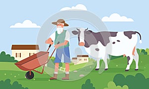 Elderly farmer working at farm field, agriculture work, aged rancher holding wheelbarrow