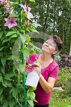 Elderly female taking care of plants, spraying a plant with pure water from a bottle