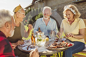 Elderly friends having an outdoor lunch in the backyard