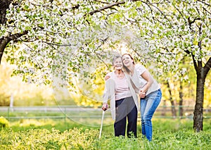 Elderly grandmother with crutch and granddaughter in spring nature.