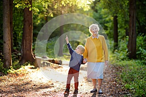 Elderly grandmother and her little grandchild walking together in sunny summer park. Grandma and grandson