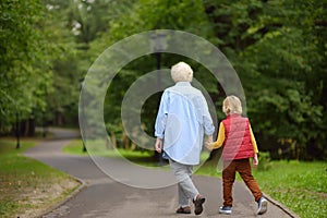 Elderly grandmother and her little grandchild walking together in sunny summer park. Grandma and grandson. Two generations of