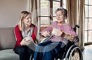 An elderly grandmother in wheelchair with an adult granddaughter knitting at home.