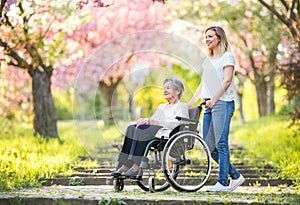 Elderly grandmother in wheelchair with granddaughter in spring nature.