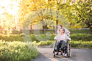 Elderly grandmother in wheelchair with granddaughter in spring nature. photo