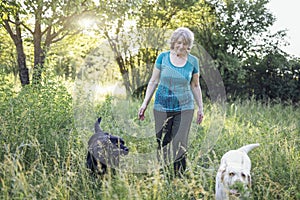 Elderly grayhaired woman with her dogs in the park