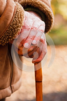 Elderly hands resting on walking stick