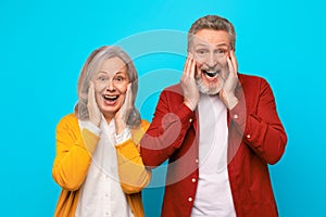 Elderly husband and wife expressing shock and surprise shouting, studio