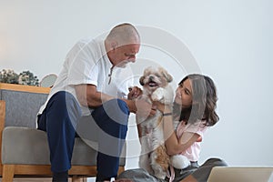 Elderly kind father with his beautiful teenage daughter playing with shih tzu puppy dog at home. Cute Caucasian family having fun