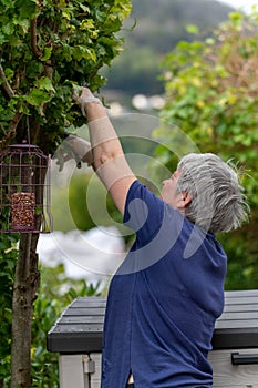 Elderly lady Cutting tree doing home garden work with tree cutters.