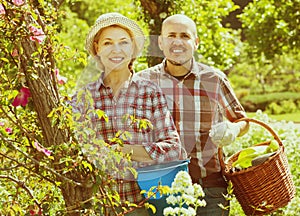 Elderly laughing couple engaged in gardening
