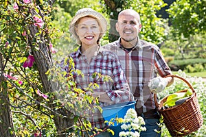 Elderly laughing couple engaged in gardening