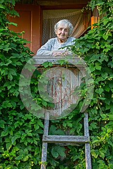 Elderly lone woman on the porch, covered with greenery of the rural house.