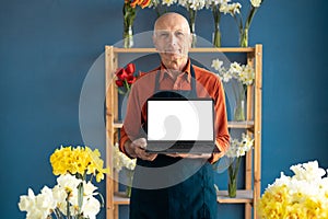 An elderly male flowers of European appearance smiles confidently while using laptop in a flower shop