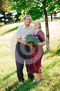 An elderly man of 80 years old gives flowers to his wife in a summer park