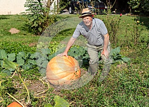 Elderly man with big orange pumpkin in the vegetable garden