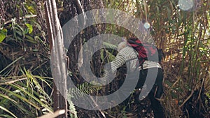 Elderly man climbing on mountain in jungle forest in trekking holding on lianas.