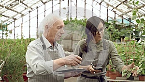 Elderly man gardener showing young woman plants in a greenhouse. She makes notes in a notebook. Gardening and Farming Concept