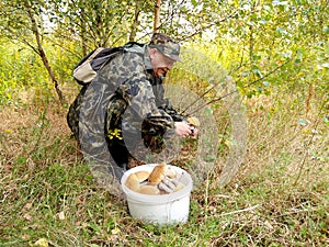 The elderly man gathers mushrooms in the wood