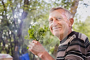 an elderly man holds a bunch of green parsley in his hands with a smile