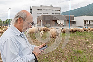 An elderly man with a mobile phone among sheep and goats grazing in a meadow