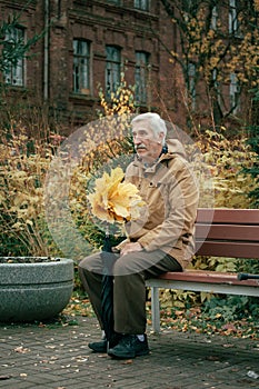 elderly man sitting alone on a park bench, Alzheimer\'s disease