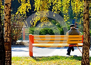 An elderly man sitting on a bench in autumn park.