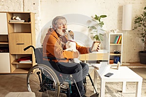 Elderly man sitting on wheelchair at home in cozy warm living room and playing with dog. Comfort and well-being