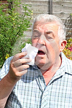 Elderly man sneezing closeup.