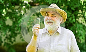 Elderly man in straw summer hat. Mental health. Peace of mind. Harmony of soul. Peaceful grandpa blowing dandelion