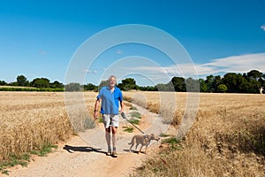 Elderly man is walking the dog