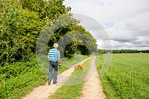 Elderly man is walking the dog