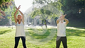 Elderly Man And Woman With Gray Hair Doing Fitness In Park. They Raise And Lower Their Hands.