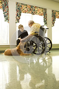 Elderly Man with Woman Petting Dog