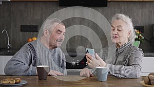 Elderly man and woman talking on video call on smartphone in living room. Seniors. Grandmother and grandfather.